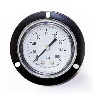 Dry pressure gauge with panel mount